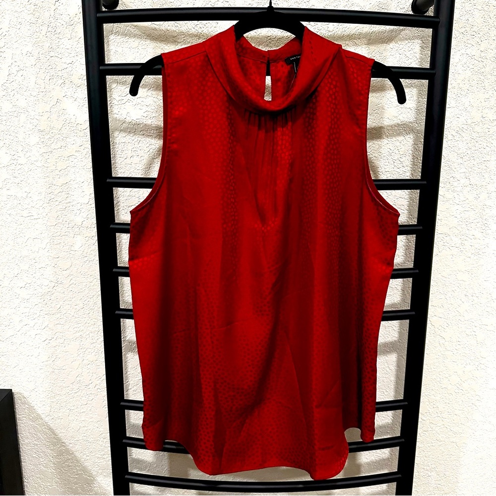 NWT Silky Ann Taylor Blouse